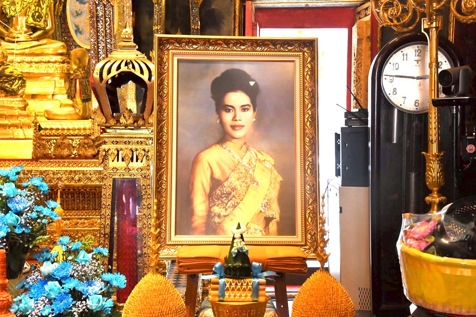 528365686 1201378552035216 3915745801983849829 n