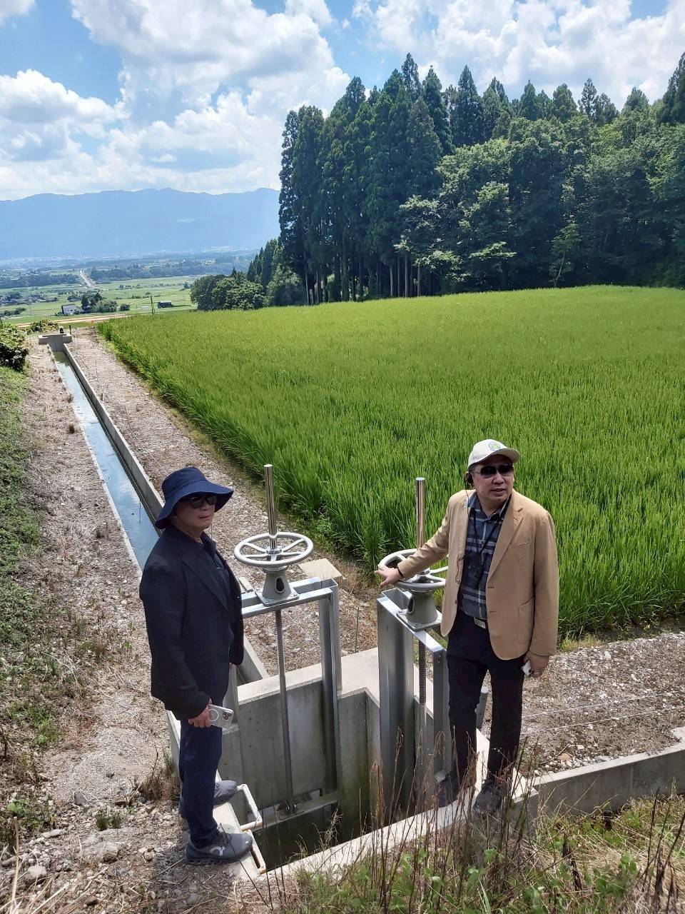 521553592 1187500380089700 3489998556870396967 n