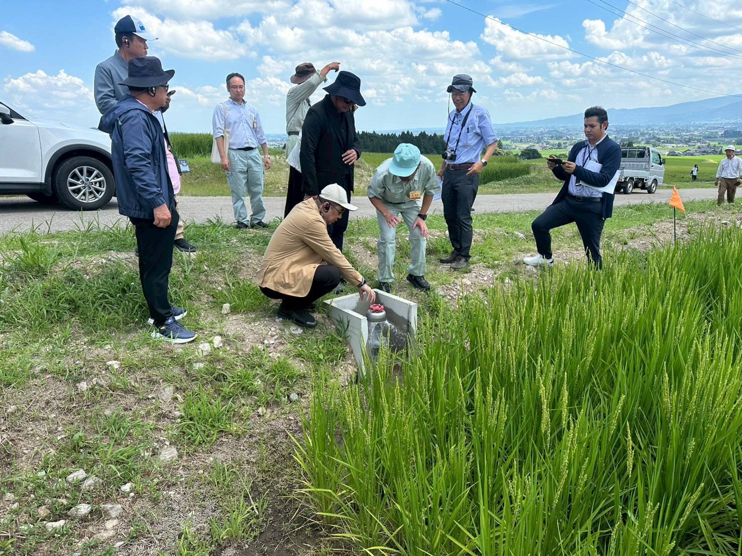 522649879 1187500273423044 1304344173631153390 n