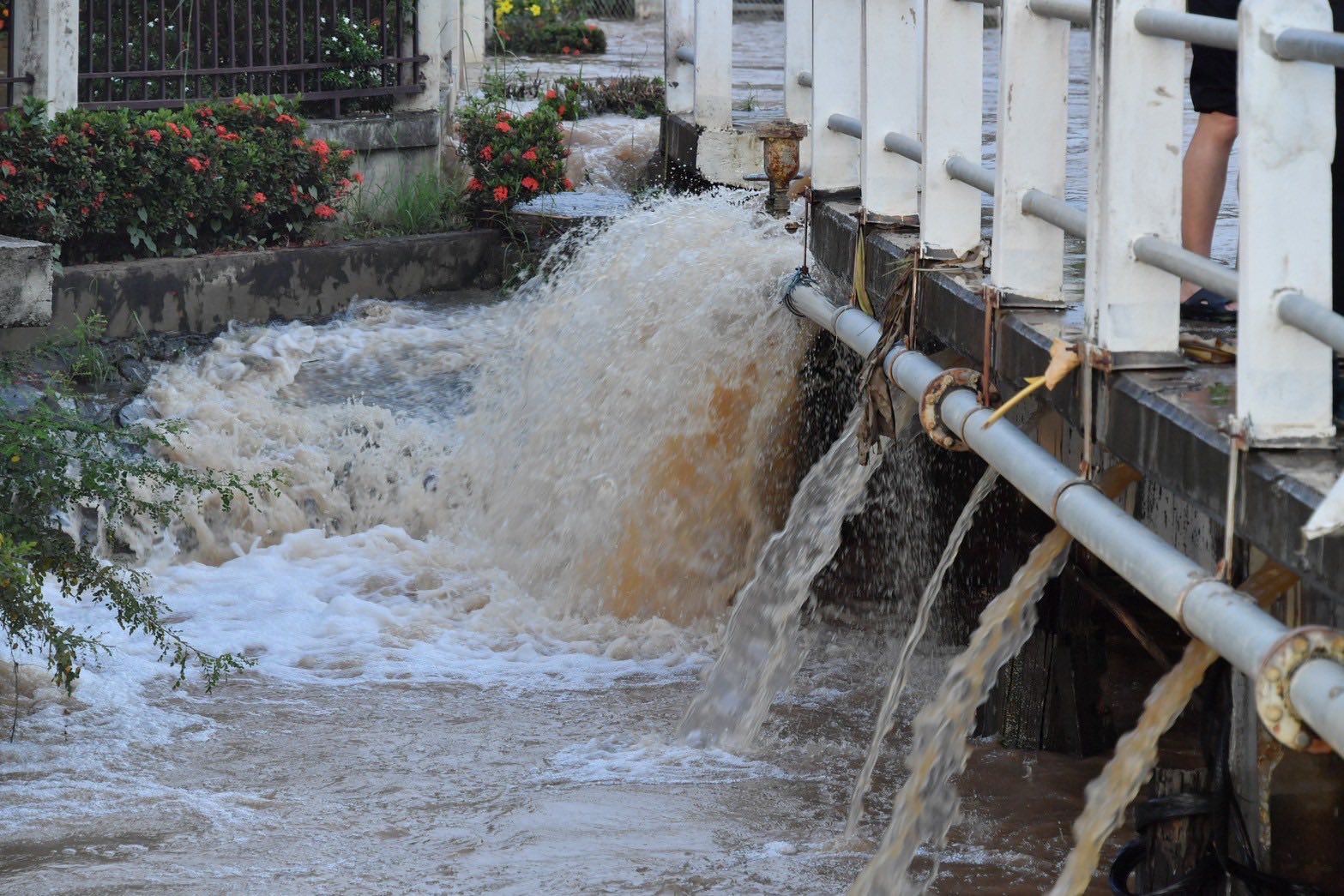 524963906 1194487216057683 211102251221283134 n