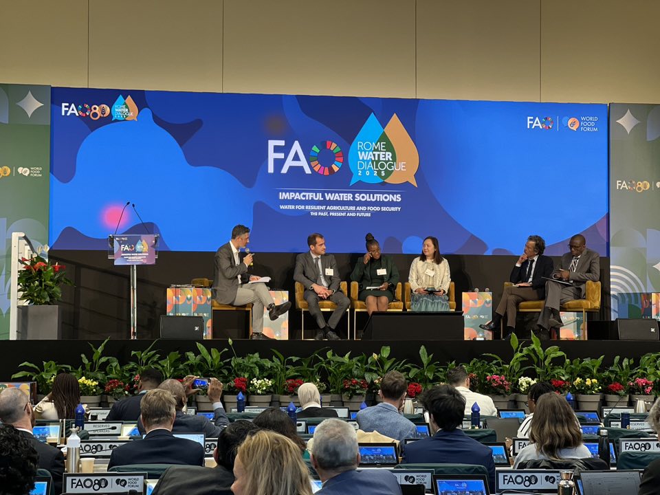 561722424 1261302589376145 4107191362900818558 n