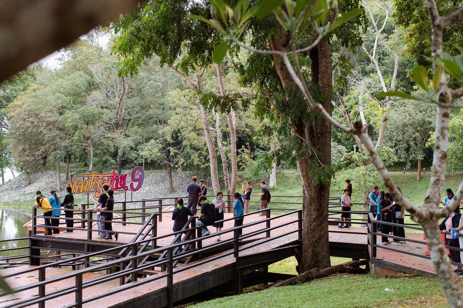 548697171 1235157001990704 7461651115015433522 n