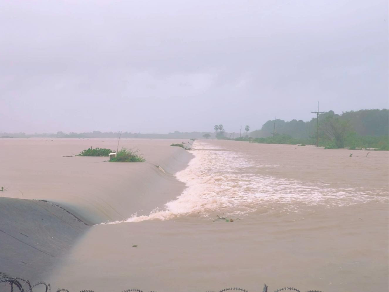 587507369 1255834326591169 1020033762757727816 n