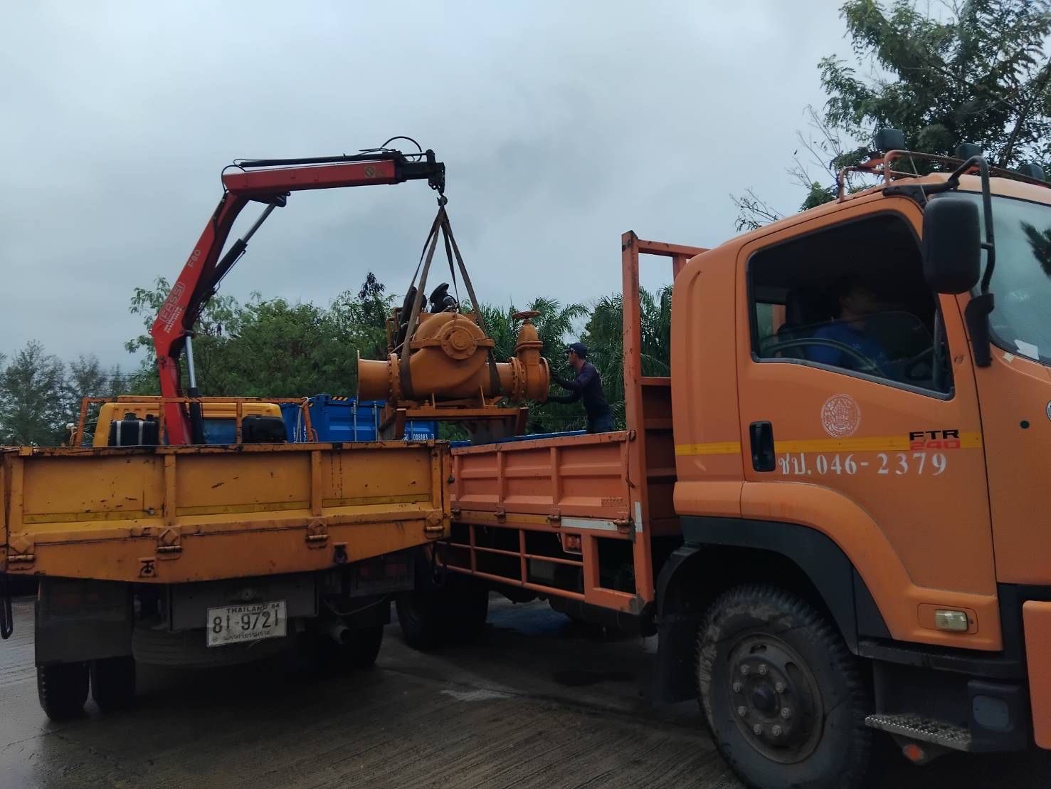 584927562 1251875686987033 4991279964567320503 n