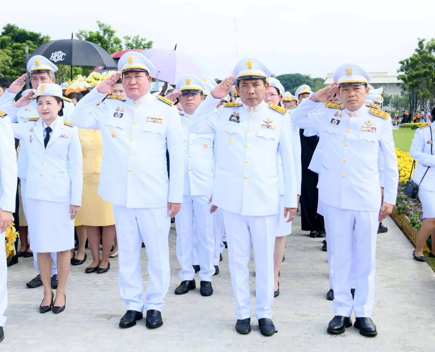 561388869 1220546173453318 5338033040040900442 n