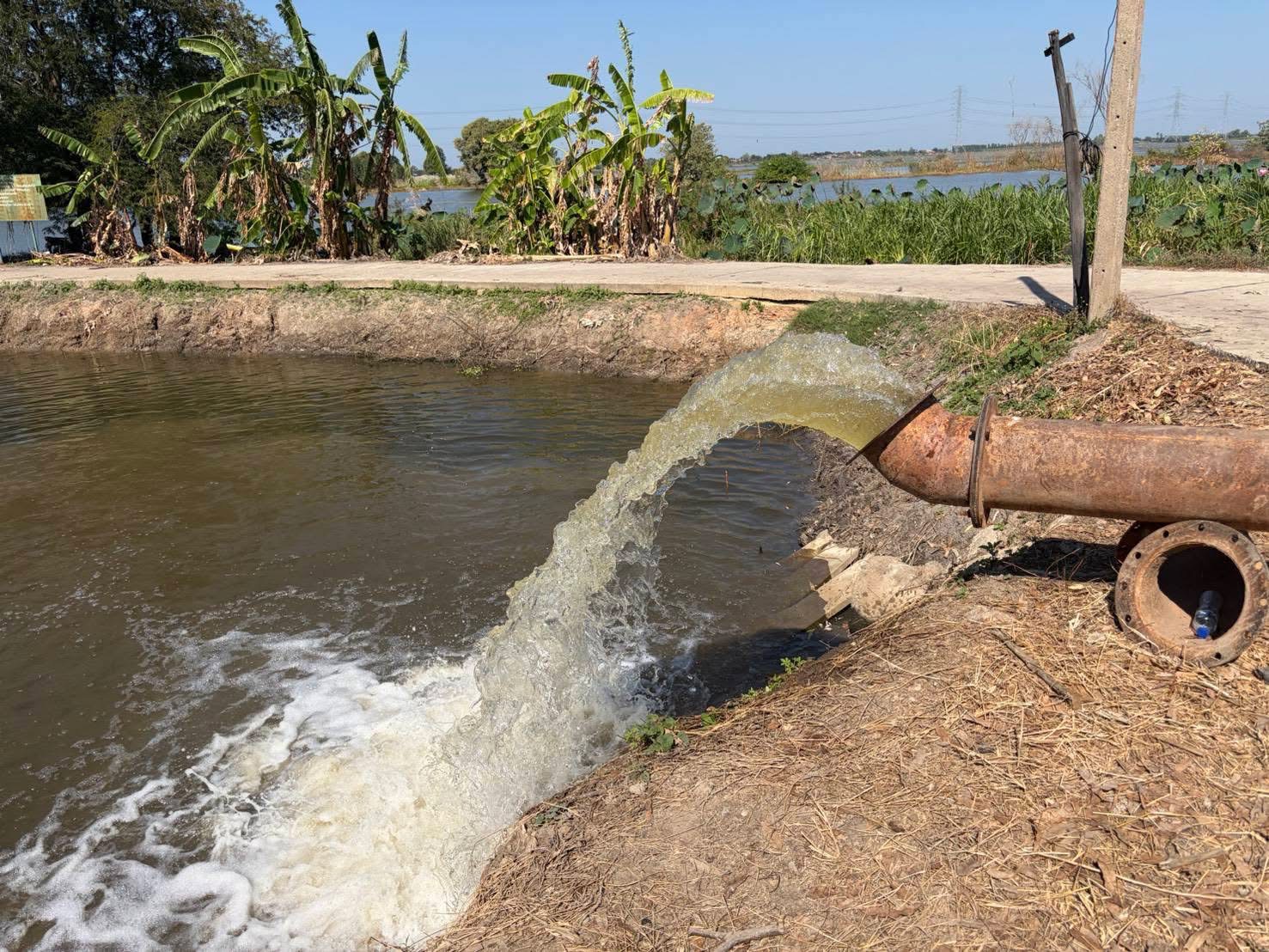 609162270 1288087513365850 8678598381595806441 n