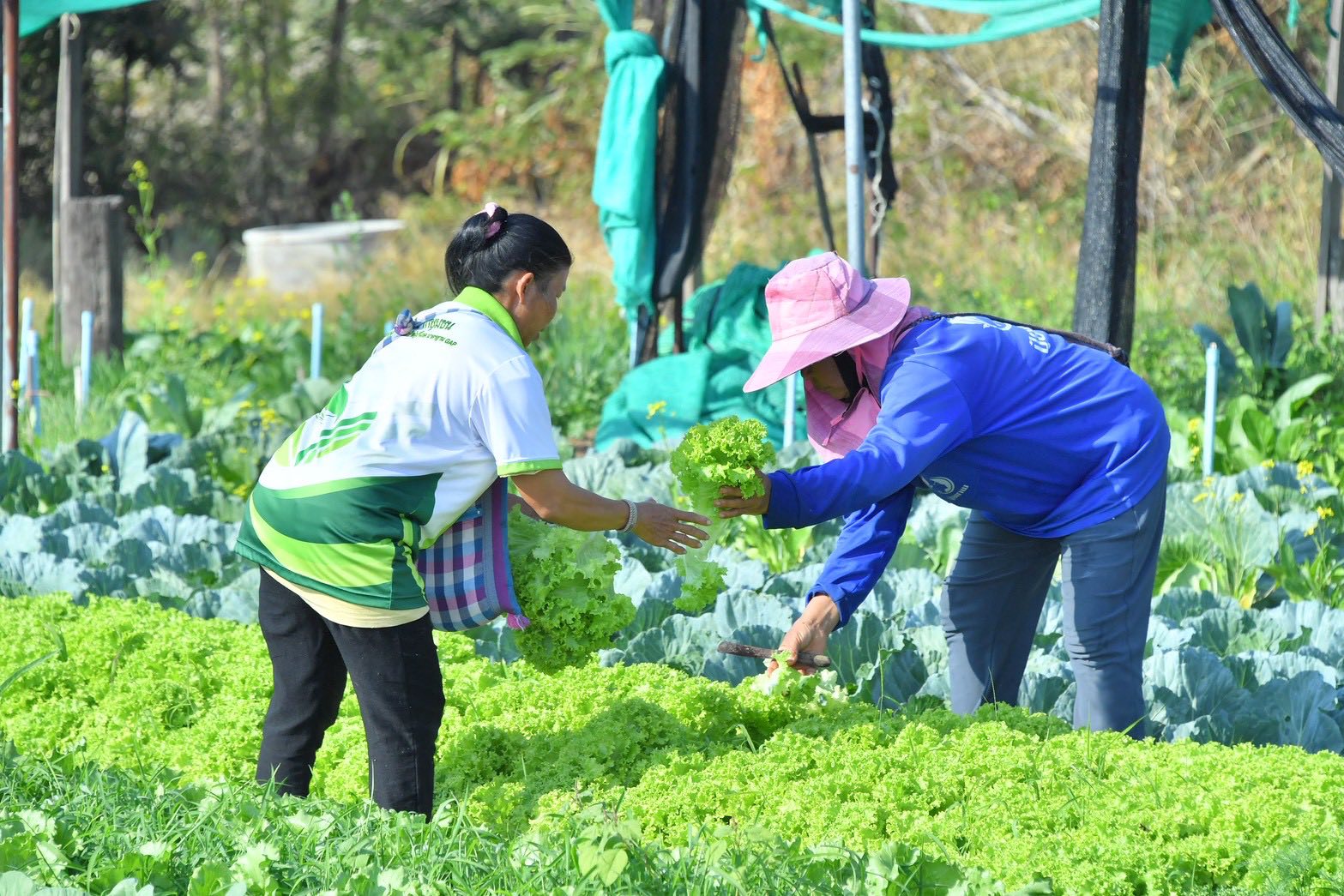 615554619 1293602622814339 5175629320144887358 n