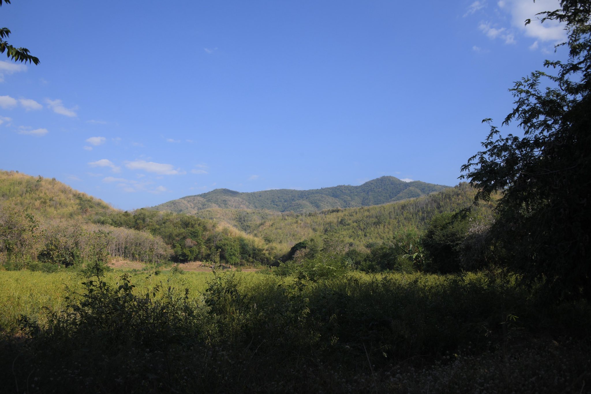 น้ำมั่นคง…สิ่งแวดล้อมยั่งยืน กรมชลฯ เดินหน้าพัฒนาโครงการอ่างเก็บน้ำบ้านปากช่อง เสริมความมั่นคงด้านน้ำลุ่มน้ำป่าสัก ควบคู่ดูแลสิ่งแวดล้อม