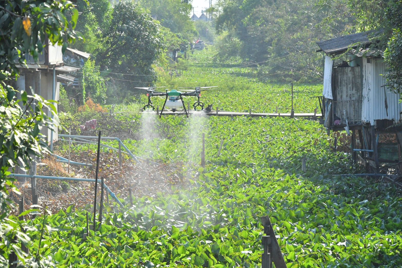 627472460 1310359194472015 1064337622423006678 n