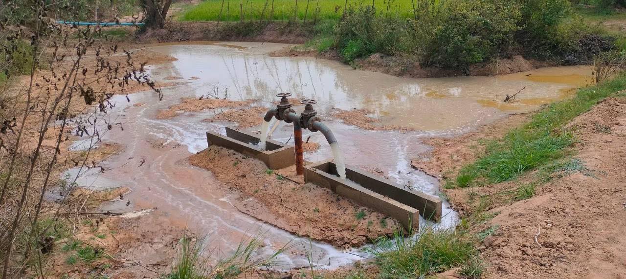 643720412 1331093589065242 6543386625856389354 n